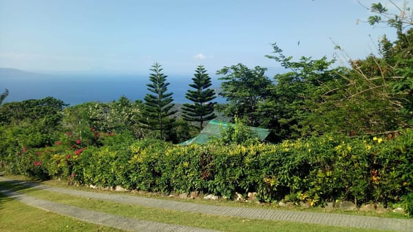 The infamous parts of Puerto Galera: photo 12