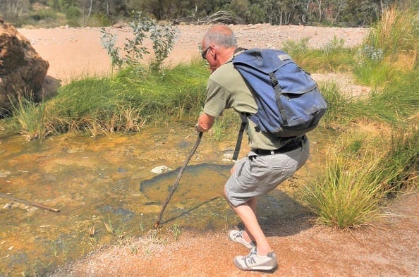 Flinders Ranges: Ancient earth and fascinating wildlife: photo 29