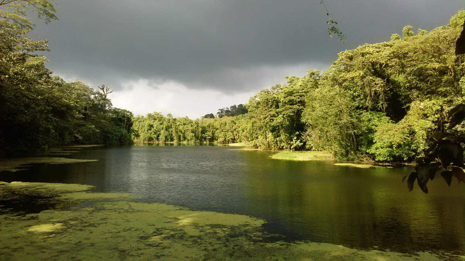 A Round Trip In The Highlands of Costa Rica