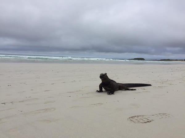 Backpacking through Islands:The Galapagos Islands: photo 1