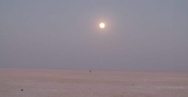 Bhuj to Kutch - White Desert , Colorful Culture and more!: photo 1