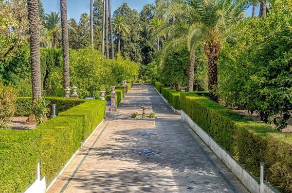 Time Traveling Through The Historical City of Seville: photo 3