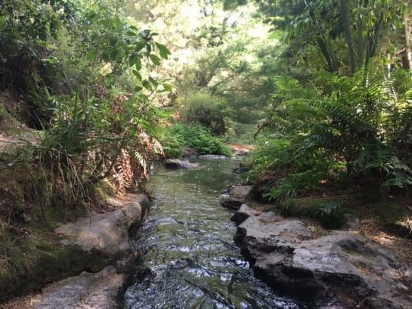 North Island New Zealand: Three Natural Free Hot Springs: photo 2