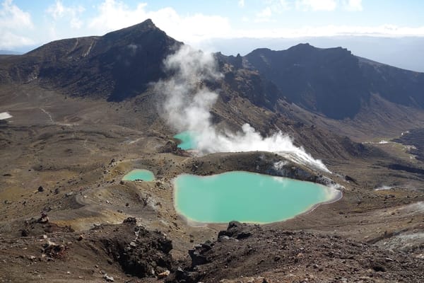 New Zealand's North Island: photo 16