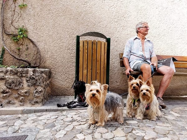 Moustiers-Saint-Marie : Discover a romantic village in France: photo 6