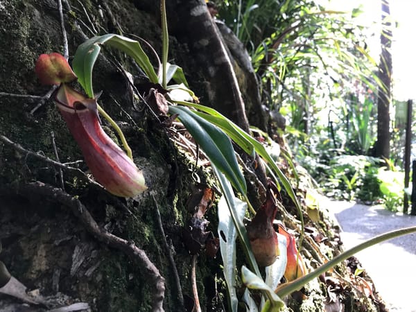 The Essential Guide to Georgetown, Penang (and Tips for More!): photo 5