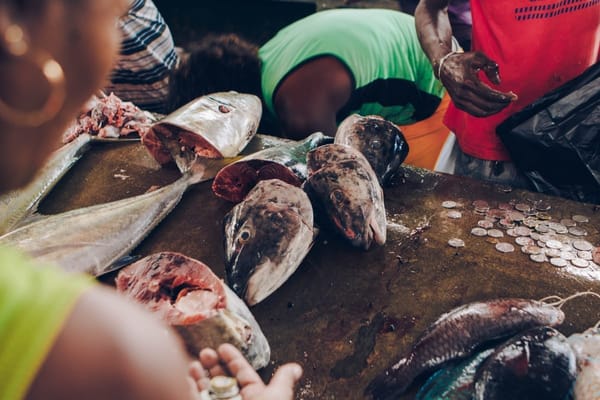 Why Dar-es-Salaam should be on your travel list?: photo 5