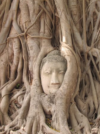 Thailand in 10 Days: Travelling from North to South: photo 2