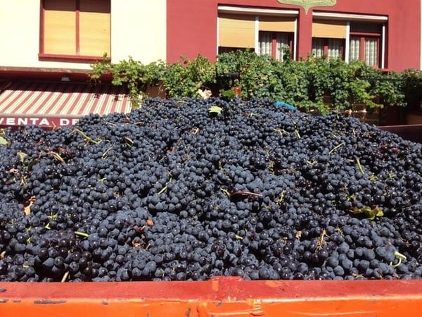 A Day in Spain’s Wine Country: Travel Guide for Logroño, La Rioja: photo 5