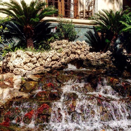 Texas as a traveling destination: photo 6