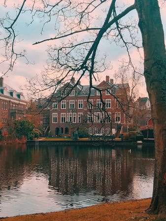 Amsterdam in Spring: What to do and where to go.: photo 6