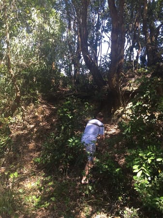 Byron Bay Lighthouse - More than a light on a rock: photo 3