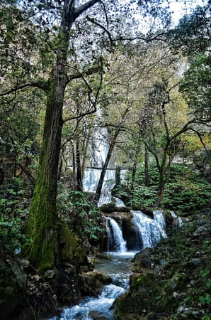 8 places to visit in Monterrey, Mexico: photo 4