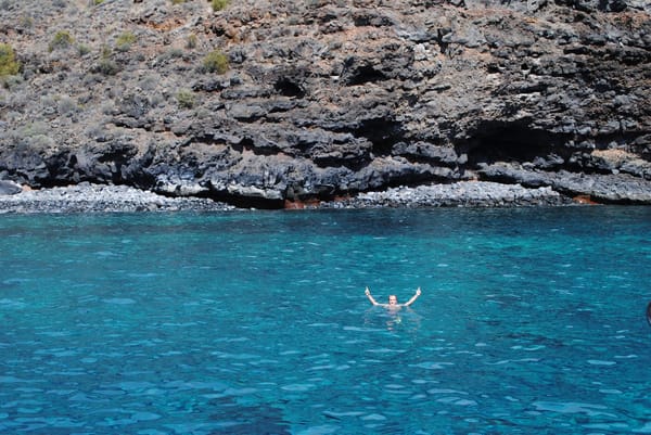 Sunny Side Up: An Insider's Guide to La Gomera's South: photo 6