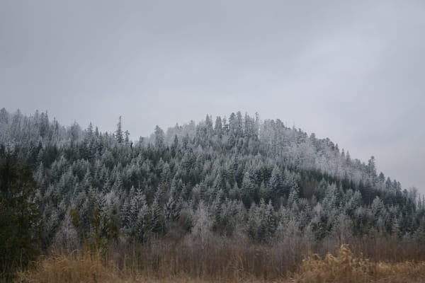 Why Ukraine is perfect choice for an exotic trip: photo 7