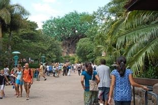 Walt Disney World : Best Tips to Make the Most of Your Trip: photo 2