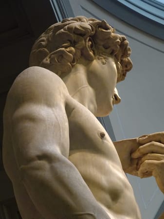 Solo in Florence: Exploring the beauty of Italy: photo 5