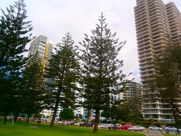 The Best Of Gold Coast: photo 8
