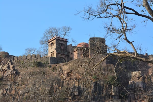 Safari experience at Ranthambore: photo 9