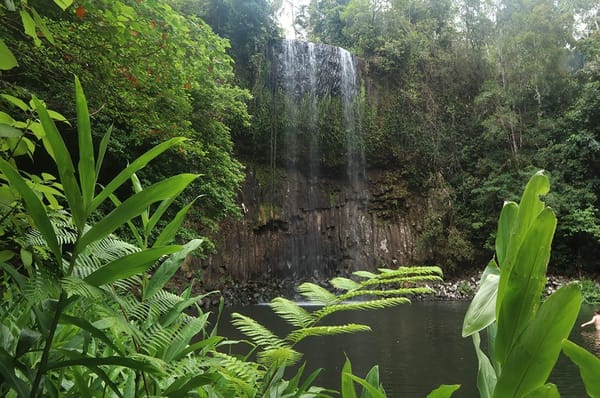 Explore Far North Queensland: photo 5