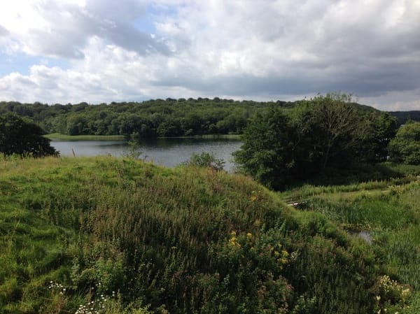 Visit Viborg: Snapshot into the Provincial Soul of Denmark: photo 3