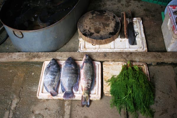 Vietnam: Motorbike trip to the provincial mountains: photo 1
