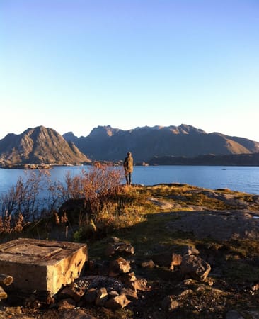 A Trip to the Arctic Circle: the Lofoten archipelago: photo 14