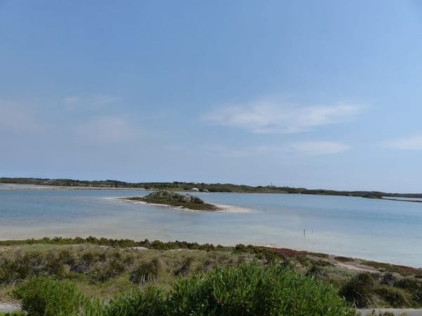 Rottnest Island- a mysterious Island full of Adventures: photo 2