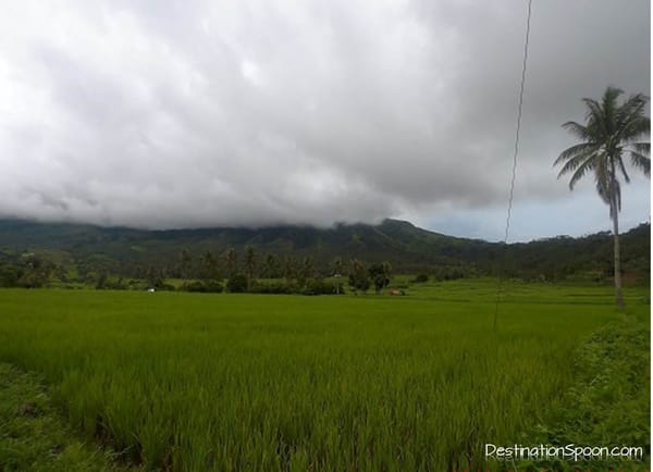 Biliran : Eastern Visayas: photo 1