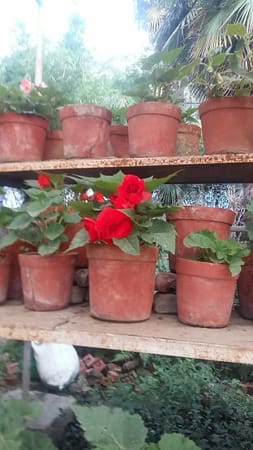 Best Places to Visit in Mussoorie, India: photo 16