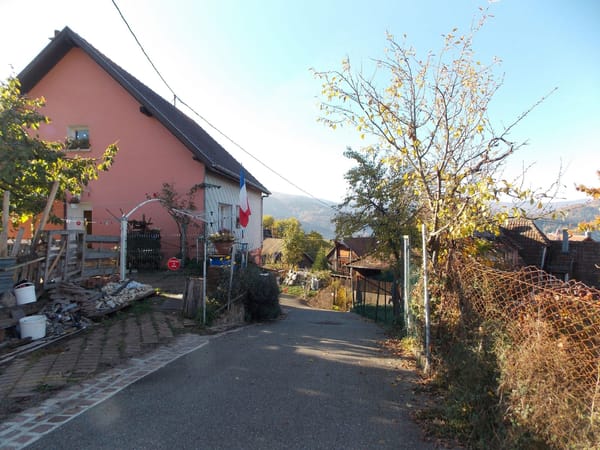 A visual journey of the French countryside: Valley of Munster: photo 11