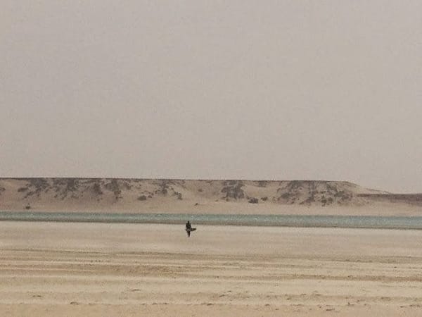 Morocco and Western Sahara: photo 10