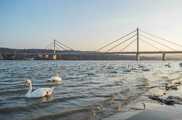 8 Places to visit in Novi Sad: photo 9