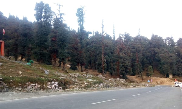 The Soulful Trip to Chopta Tungnath in Uttarakhand: photo 3