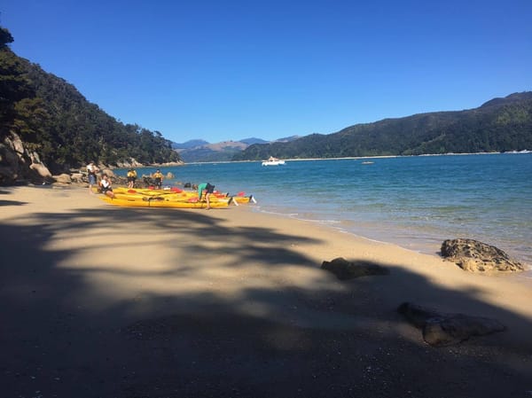 New Zealand South Island: Exploring the Abel Tasman: photo 5
