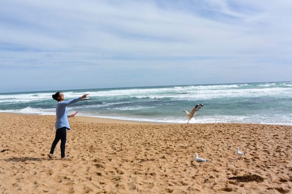 A Guide to The Twelve Apostles, Victoria, Australia: photo 10