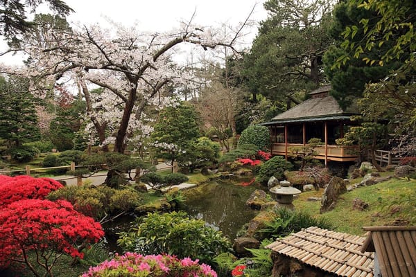 Top Ten Places to Visit In San Francisco: photo 8