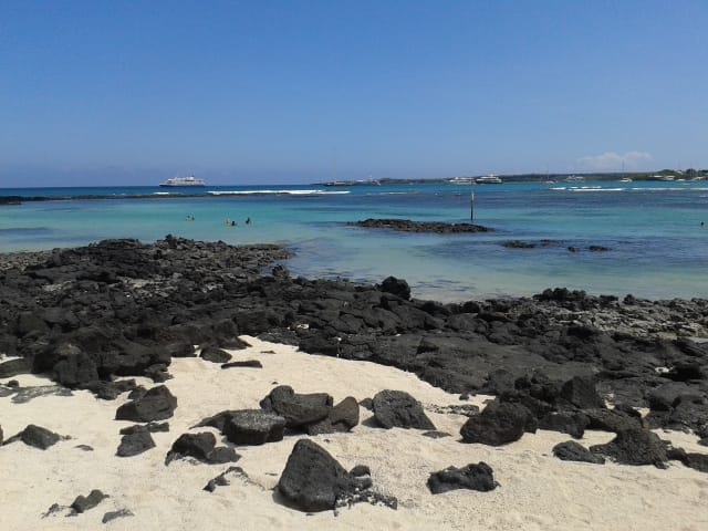 A Beautiful Paradise: The Galapagos Islands