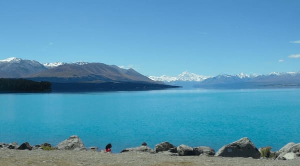 New Zealand’s Must-See Spots: photo 8