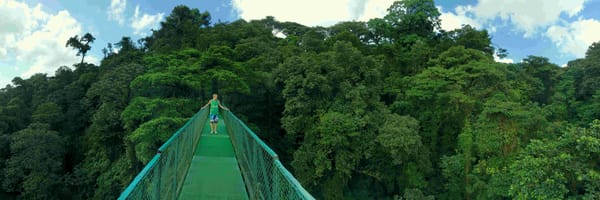 The untouched nature in Costa Rica, Monteverde: photo 3