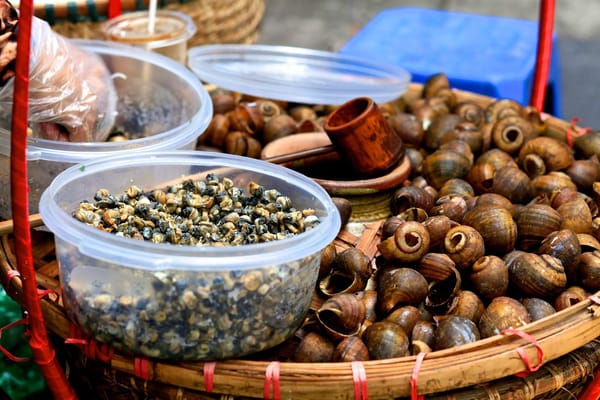 How to See Saigon like a Local: photo 2