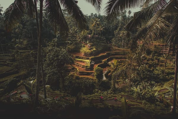 Ubud, Bali - Paradise at The Foothills of Gianyar: photo 1