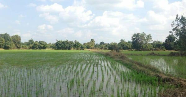 Battambang; Cambodia’s Second Largest City and Why You Should Go: photo 3