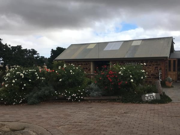 Top Wineries in McLaren Vale: photo 1
