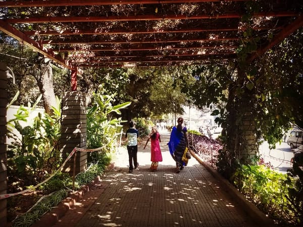 Bangalore city: beyond traffic and IT: photo 1