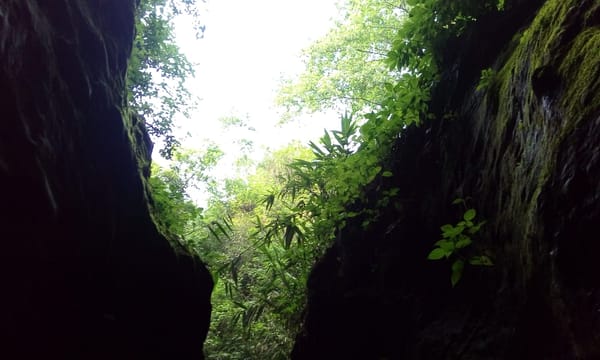 Mussoorie : perfect spot for the Summer!: photo 4