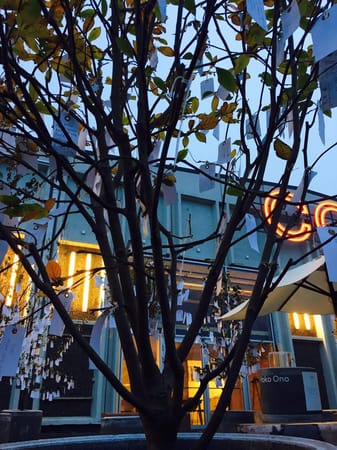 Discover Copenhagen: 6 Things To Do: photo 2