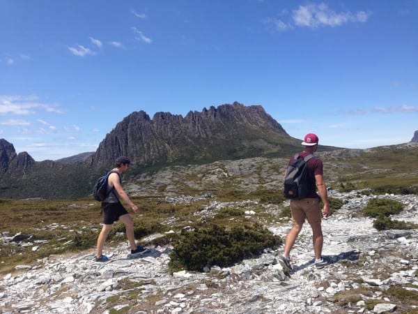 One blissful week in Tasmania: photo 10