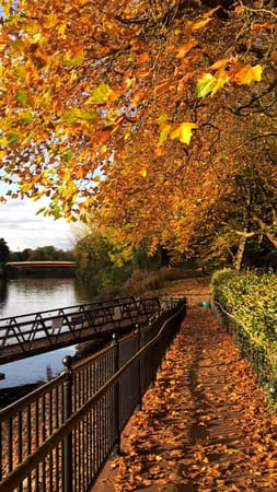 10 reasons why Cardiff is an awesome city: photo 5