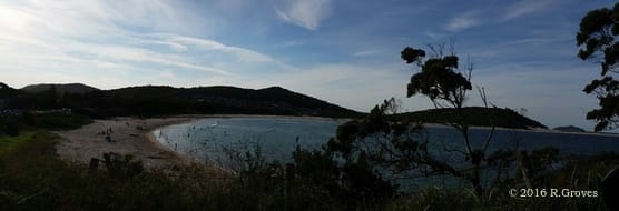 Port Stephens: A Trip to Nelson Bay